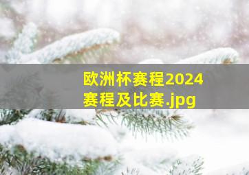 欧洲杯赛程2024赛程及比赛