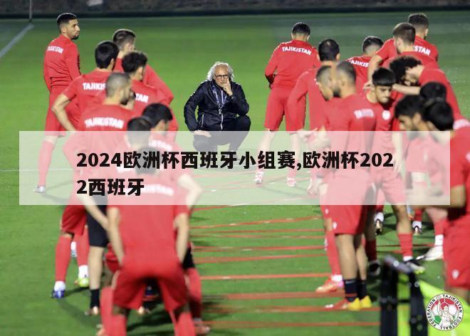 2024欧洲杯西班牙小组赛,欧洲杯2022西班牙