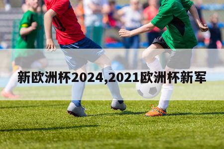 新欧洲杯2024,2021欧洲杯新军