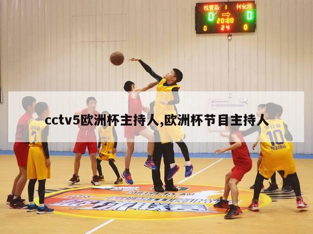 cctv5欧洲杯主持人,欧洲杯节目主持人