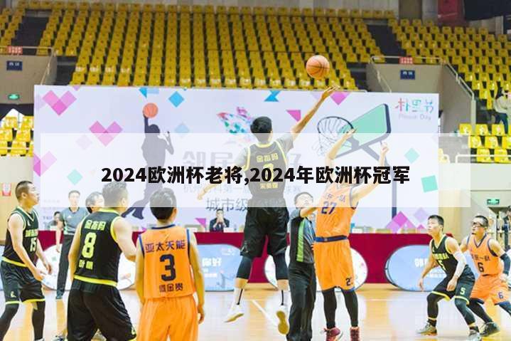 2024欧洲杯老将,2024年欧洲杯冠军