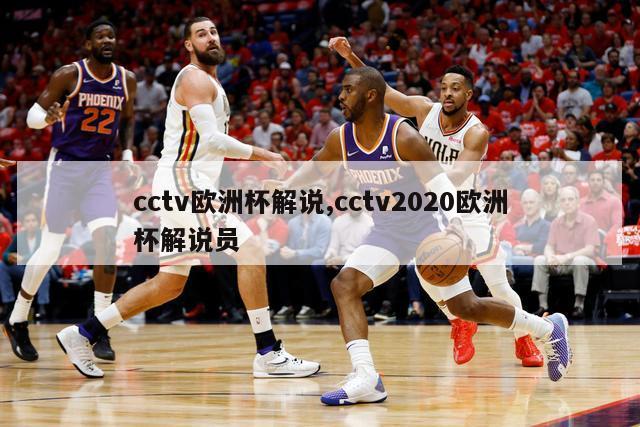 cctv欧洲杯解说,cctv2020欧洲杯解说员