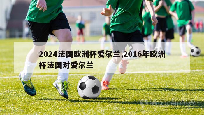 2024法国欧洲杯爱尔兰,2016年欧洲杯法国对爱尔兰