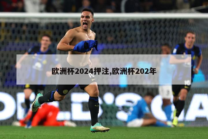 欧洲杯2024押注,欧洲杯202年