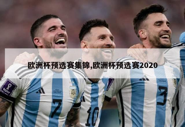 欧洲杯预选赛集锦,欧洲杯预选赛2020