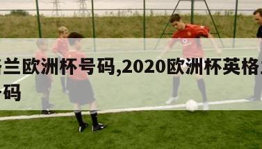 英格兰欧洲杯号码,2020欧洲杯英格兰球员号码